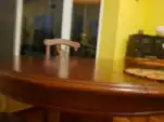 20200224 195553