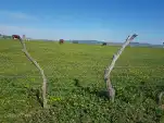 20200222 154400