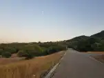 20210720 212751