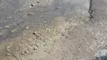 20210911 134845