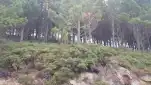 20210806 185234