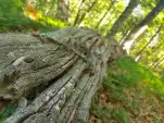 20210811 115819