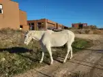 20211203 095841
