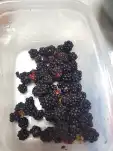 20210806 174407