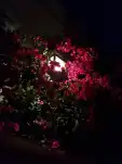 20210627 222633