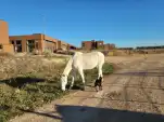 20211203 095834