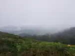 20210810 153017