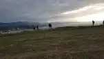 20210808 201914