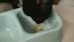 20211115 142446