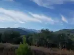 20210801 194048