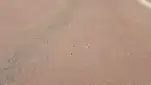 20210628 110648